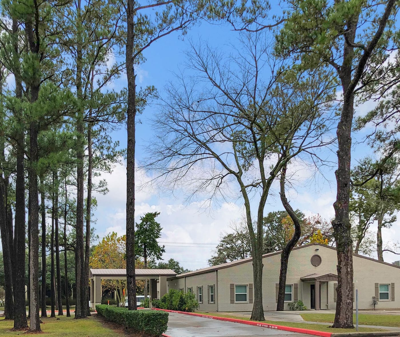 Professional Building among the pines — League City, TX Professional Building set among tall Texas pine trees in League City